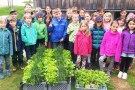 Grundschulkinder stehen um Salatpflanzen