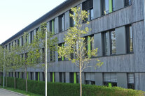 Langegezogener Holzbau, davor Baumreihe