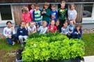 Grundschulkinder stehen um Salatpflanzen