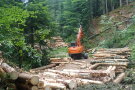 Bagger stapelt die Baumstämme