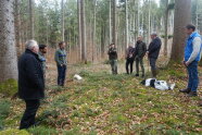 Mehrere Menschen stehen im Wald und begutachten die natürliche Verjüngung