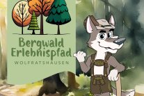 Im Amtsbereich überwiegen Mischwälder