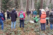 Menschengruppe im Wald