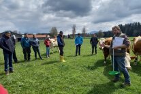 Weidegespräch mit Landwirtinnen und Landwirten