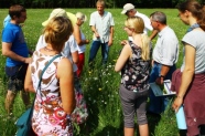 Mehrere Personen auf Wiese