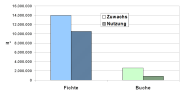 Das Säulendiagramm zeigt, dass sowohl bei Fichte als auch bei Buche die Nutzung deutlich unter dem Zuwachs liegt.