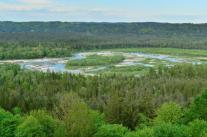Zusammenfluss von Isar und Loisach im FFH-Gebiet "Oberes Isartal" (Foto: U. Schweizer)