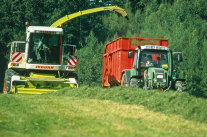 Silageernte mit Häcksler, Bedadung auf Traktor mit Ladewagen